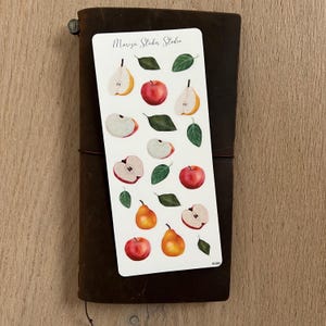 Pegatinas de frutas en acuarela: manzanas y peras | Pegatinas decorativas de acuarela para diario, agenda, scrapbooking | Pegatinas de otoño para manualidades y Bullet Journal