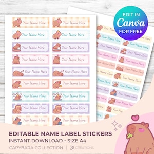 Étiquettes modifiables de fournitures scolaires pour fournitures scolaires Étiquettes scolaires pour la rentrée des classes Étiquettes personnalisées Modèle de nom d'étiquettes