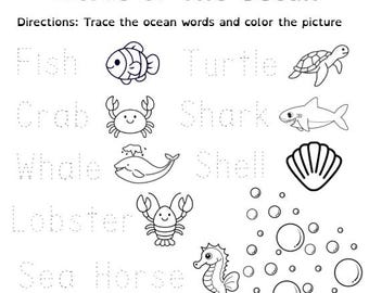 Words of the Ocean Worksheet | Ocean Vocabulary Activity | Sea Life Printable for Preschool & Kindergarten | Ocean Theme Learning PDF