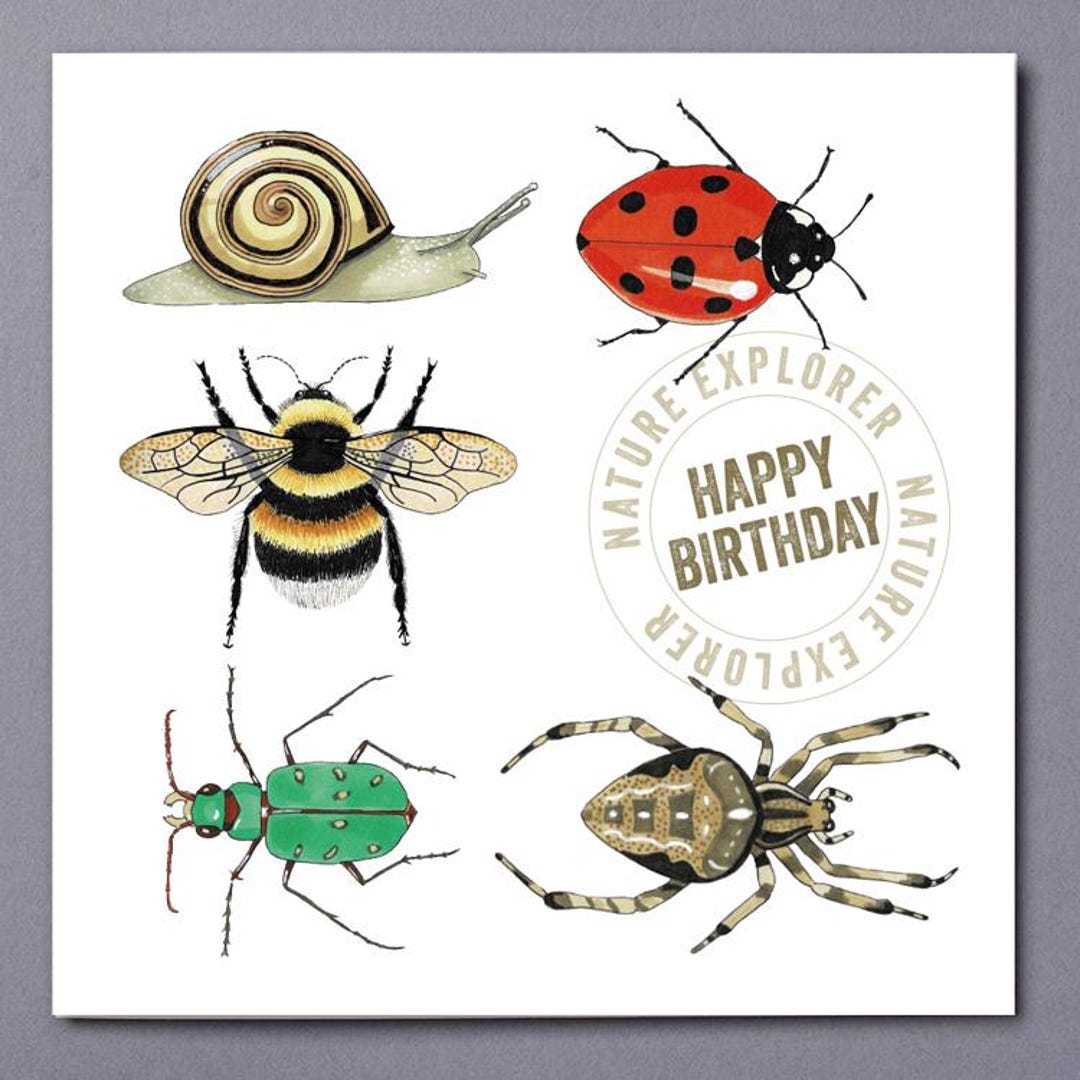 Bugs Birthday Card; Hand Drawn Illustration; Printed on 100% Recycled ...