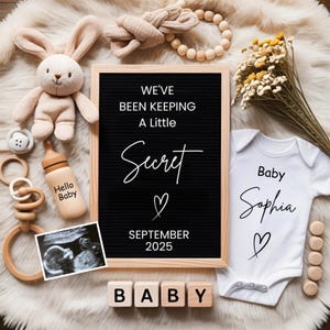 Digital Pregnancy Announcement Template,&quot;We&#39;ve Been Keeping a Secret&quot;Baby Reveal,Editable & Instant Download, Social Media Baby Announcement