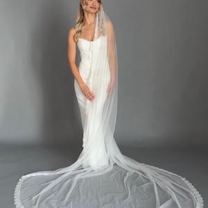 May include: A white wedding dress with a long train and a matching veil. The dress has a fitted bodice and a flowing skirt. The veil is sheer and has a delicate lace trim. The background is a plain grey.