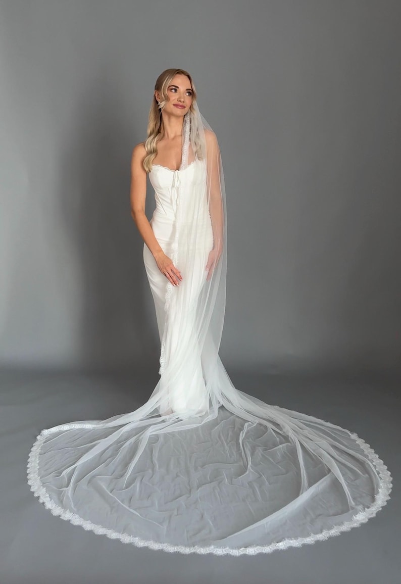 May include: A white wedding dress with a long train and a matching veil. The dress has a fitted bodice and a flowing skirt. The veil is sheer and has a delicate lace trim. The background is a plain grey.