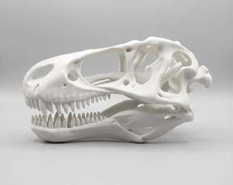 Spiratherium Nexus™ Skeleton | Unique Spiral Dinosaur Skull | Designer Fossil Art | 3D Printed Bone Sculpture | Collector Piece 4–10 Inch