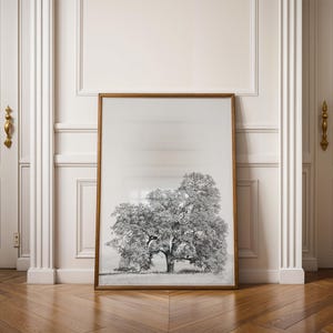 May include: A black and white photograph of a large tree in a field, framed in a gold frame. The tree is the focal point of the image, with the background being a soft blur.