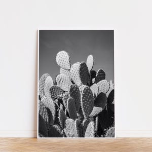 Prickly Pear Photo Print: Modern Black and White Desert Cactus (Digital Download)