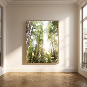 Impresión de bosque nórdico: La luz del sol a través de los árboles (Descarga digital)