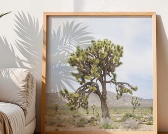 Joshua Tree Desert Photo: California Wall Art (Digital Download)