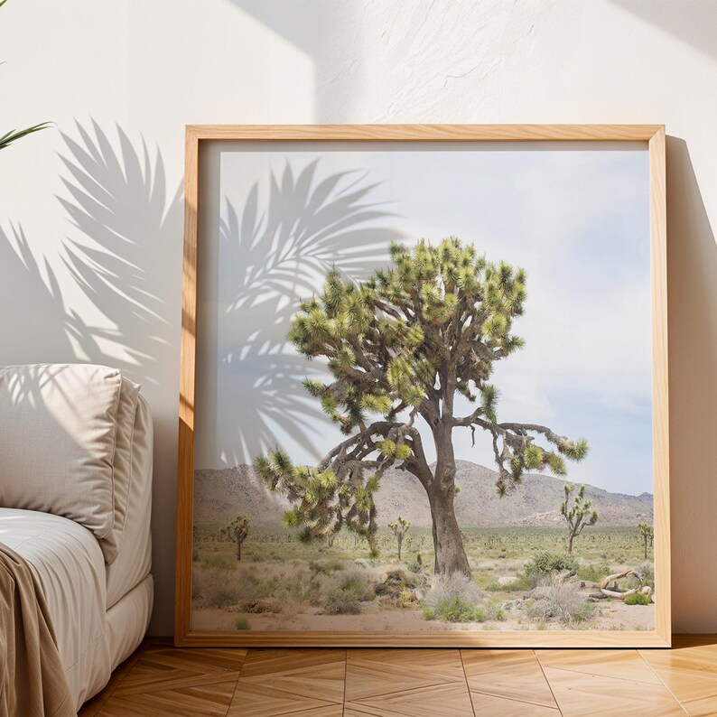 Joshua Tree Desert Photo: California Wall Art (digital Download) - Etsy