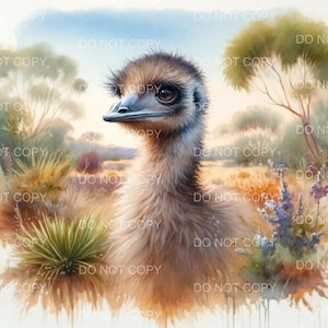 Stampa artistica da parete Emu - Decorazione per cameretta della fauna selvatica australiana, poster rustico con animali da fattoria, illustrazione unica di uccelli, regalo per gli amanti della natura