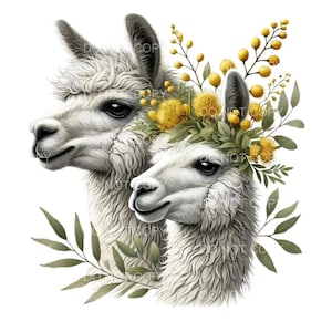 Stampa artistica da parete con lama - Decorazione per la cameretta dei bambini con simpatici animali da fattoria, opera d'arte boho per la cameretta dei bambini, illustrazione di un lama, poster senza cornice, arte per gli amanti degli animali