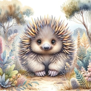 Stampa artistica da parete Echidna - Decorazione per cameretta con animali australiani, illustrazione carina della fauna selvatica, regalo per gli amanti della natura, poster rustico da fattoria