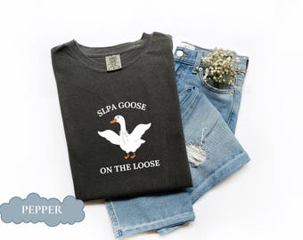 Speech Language Pathologist Assistant Comfort Colors Shirt, SLPA Therapy Tshirt, SLPA Grad Gift, Graduation Gift, SLPA Silly Goose tee