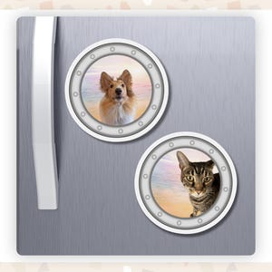 A grey fridge featuring two custom photo porthole magnets of a collie dog and a tabby cat against a sunset background.