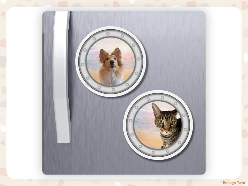 A grey fridge featuring two custom photo porthole magnets of a collie dog and a tabby cat against a sunset background.