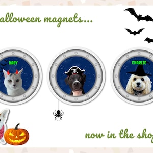 Halloween cruise magnets now available in the shop featuring a night sky background and spooky accessories like bats, spiders and costumes.