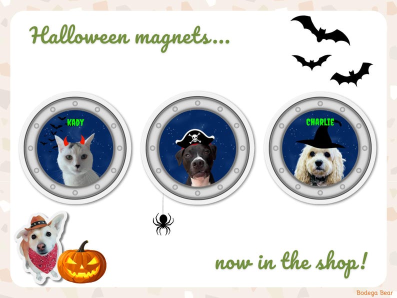 Halloween cruise magnets now available in the shop featuring a night sky background and spooky accessories like bats, spiders and costumes.