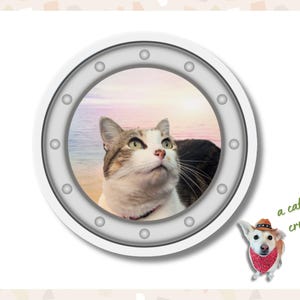 May include: A circular white porthole frame containing a view of a white and brown cat looking upward against a sunset ocean background. Below the porthole is a small white dog wearing a brown cowboy hat and red bandana with the text a cat on a cruise?!