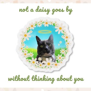 May include: A circular sticker featuring a grey cat with a yellow halo against a blue sky and green grass background, framed by white daisy flowers. The text "not a daisy goes by" appears above and "without thinking about you" below the cat.