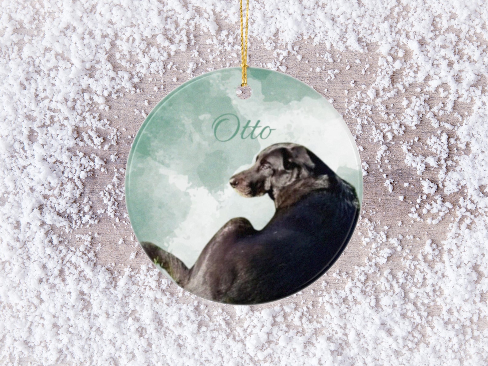 Custom Pet Ornament