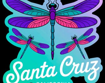 SANTA CRUZ CALIFORNIA Dragonfly