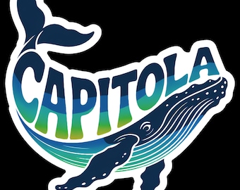 CAPITOLA CA Whale1