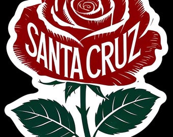 Santa Cruz Rose