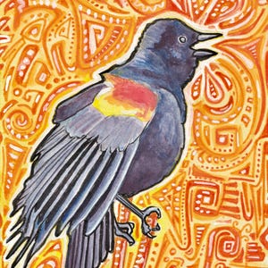 Summersong Blackbird - Print