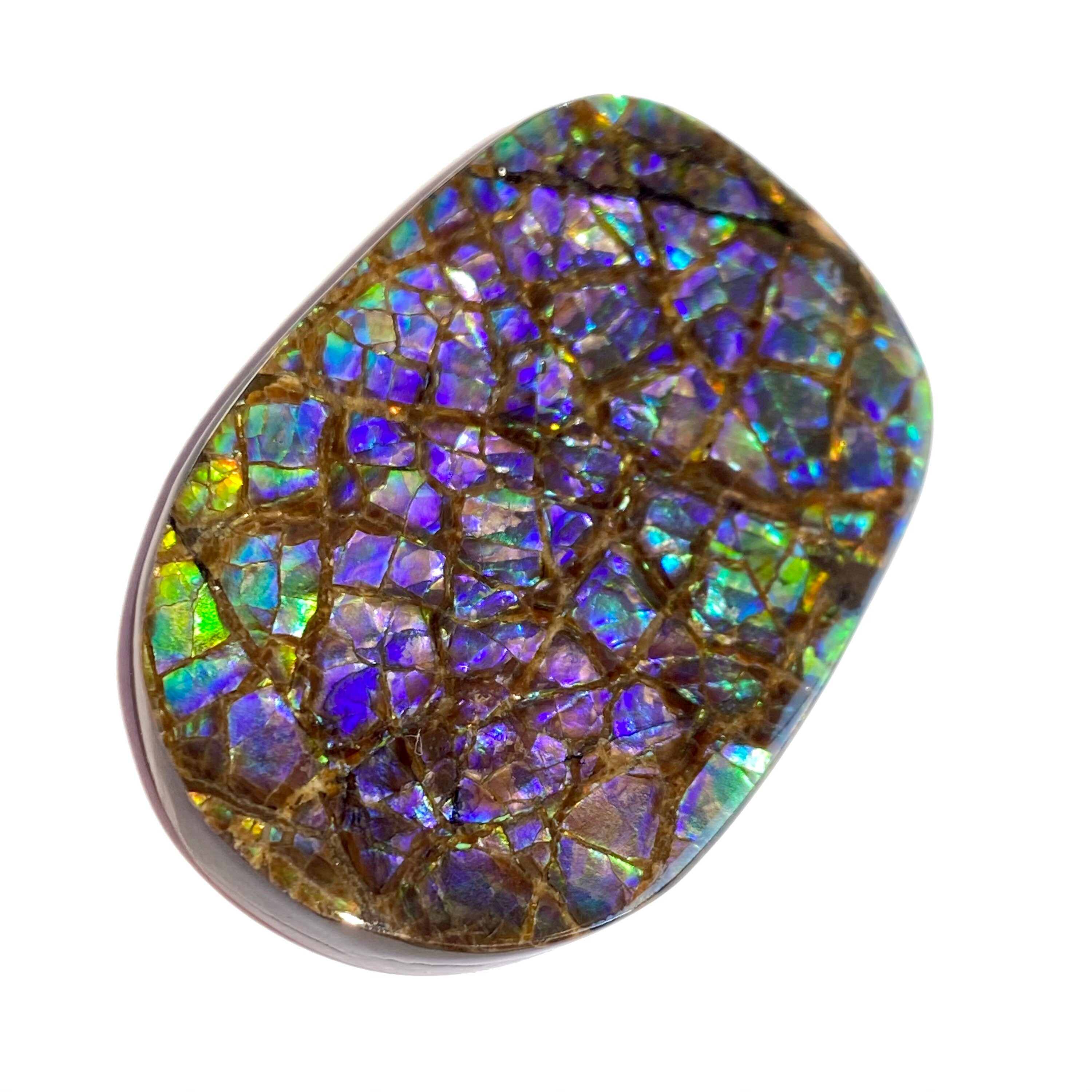 Purple ammolite shop