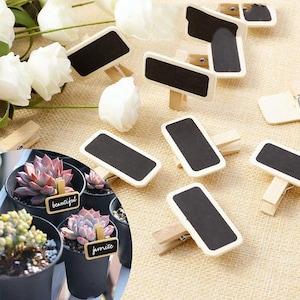 Pode incluir: Pequenos sinais retangulares de quadro-negro com bordas brancas presas a prendedores de roupa de madeira. Os sinais estão espalhados em uma superfície bege, com flores brancas ao fundo. Alguns sinais são colocados em pequenos vasos pretos com suculentas.