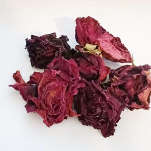 May include: A cluster of dried rose buds and petals in deep red and burgundy hues. The petals display a textured, slightly curled form, indicating natural drying. The image is set against a plain white backdrop.