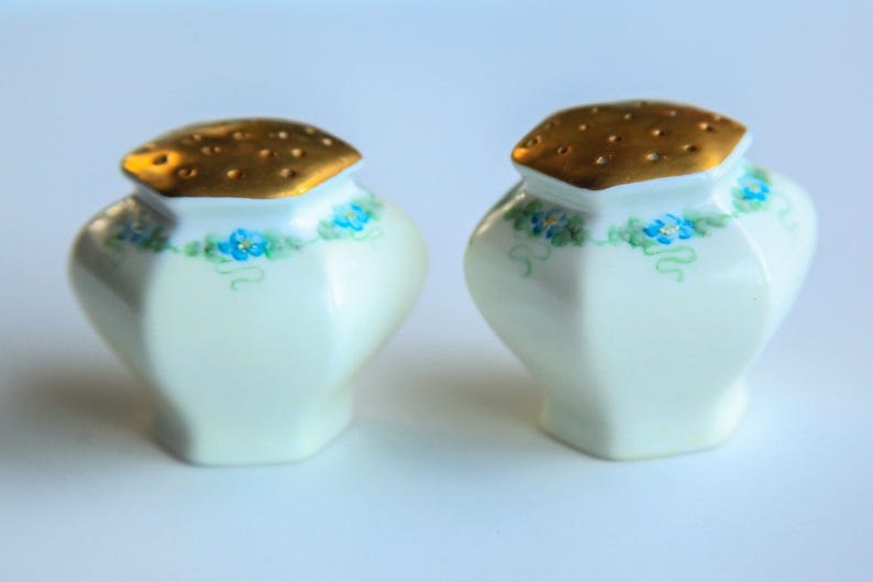 Vintage Porcelain Salt /& Pepper Shakers White w Hand Painted Blue Flowers ~ Victorian Edwardian Style Dining Table Accent Decor