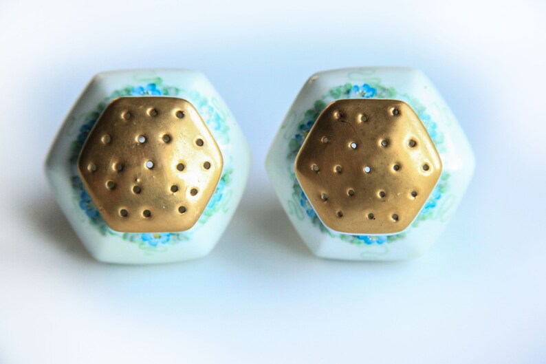 Vintage Porcelain Salt /& Pepper Shakers White w Hand Painted Blue Flowers ~ Victorian Edwardian Style Dining Table Accent Decor
