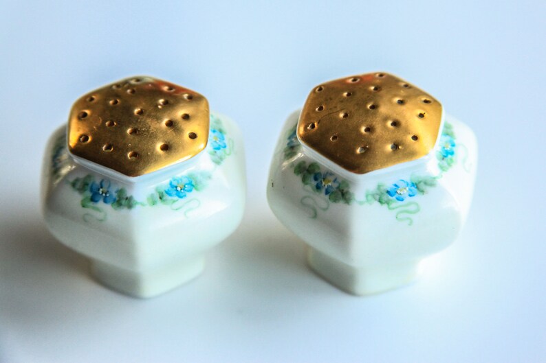 Vintage Porcelain Salt /& Pepper Shakers White w Hand Painted Blue Flowers ~ Victorian Edwardian Style Dining Table Accent Decor
