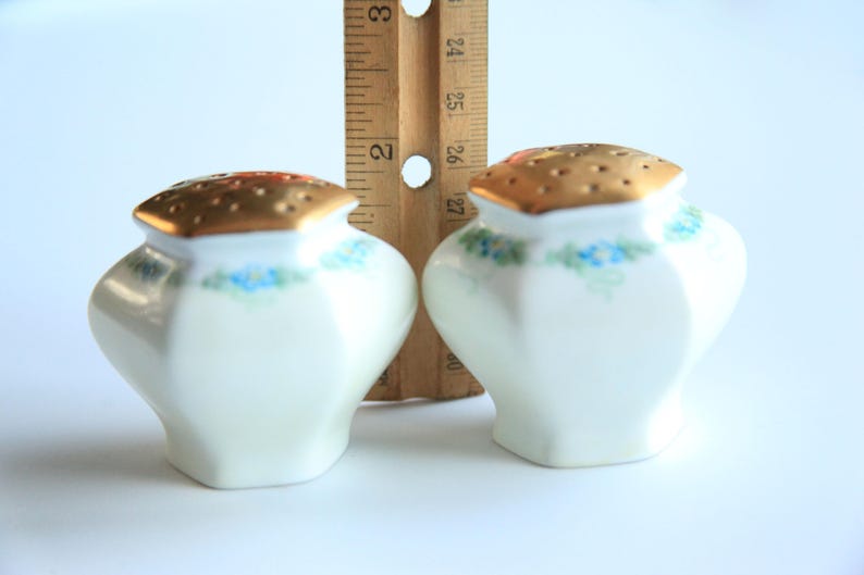 Vintage Porcelain Salt /& Pepper Shakers White w Hand Painted Blue Flowers ~ Victorian Edwardian Style Dining Table Accent Decor
