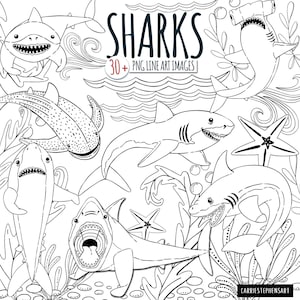 May include: Black and white line art illustrations of sharks, starfish, and seaweed. The text "SHARKS 30+ PNG LINE ART IMAGES" is at the top of the image.