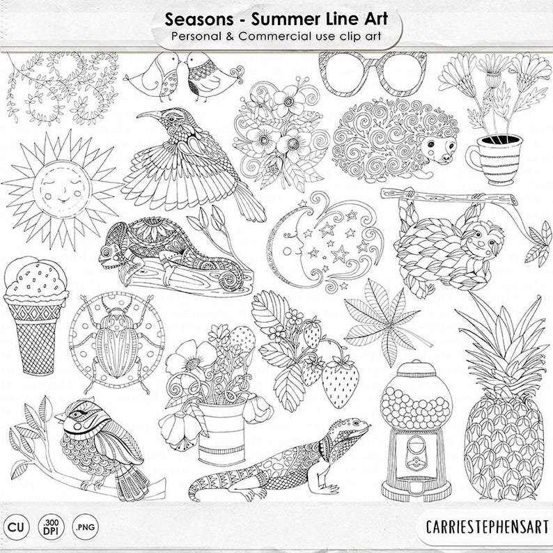 Summer Line Art Bundle, Season's PNG Illustrations, Summer ClipArt Doodle, Card Making Images, Digital Stamp, Instant Download image 1