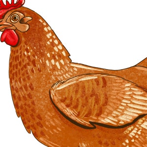 Peut inclure: Une poule brune avec une cr&ecirc;te et des barbillons rouges. La poule est tourn&eacute;e vers la gauche et ses ailes sont d&eacute;ploy&eacute;es. L'arri&egrave;re-plan est blanc.