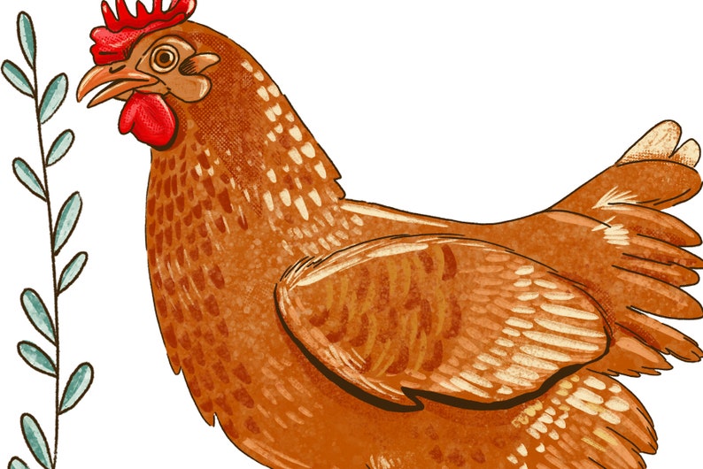 Peut inclure: Une poule brune avec une cr&ecirc;te et des barbillons rouges. La poule est tourn&eacute;e vers la gauche et ses ailes sont d&eacute;ploy&eacute;es. L'arri&egrave;re-plan est blanc.
