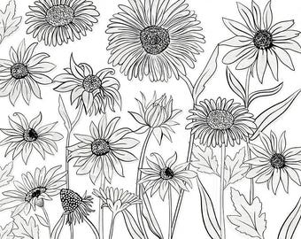 Daisy Clip Art, Cone Flower Photoshop Brush, Daisies Line Art Stamps for Card making, Wedding Invitations, PNG Floral Line Art