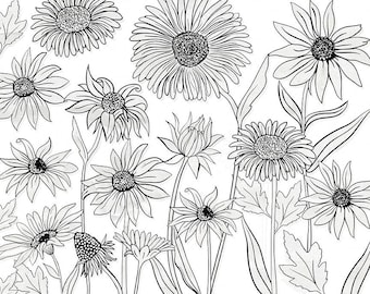 Daisy Clip Art, Cone Flower Photoshop Brush, Daisies Line Art Stamps for Card making, Wedding Invitations, PNG Floral Line Art
