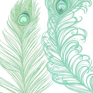 May include: Two peacock feathers with intricate details, one with a traditional design and the other with a more stylized, swirling pattern. Both feathers are a light green color.