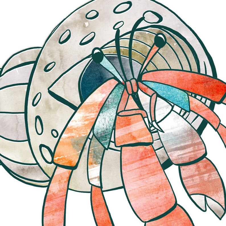 May include: A watercolor illustration of a hermit crab in a shell. The shell is a light brown color with a swirling pattern. The crab is a bright orange color with blue and green accents. The illustration is done in a whimsical style.