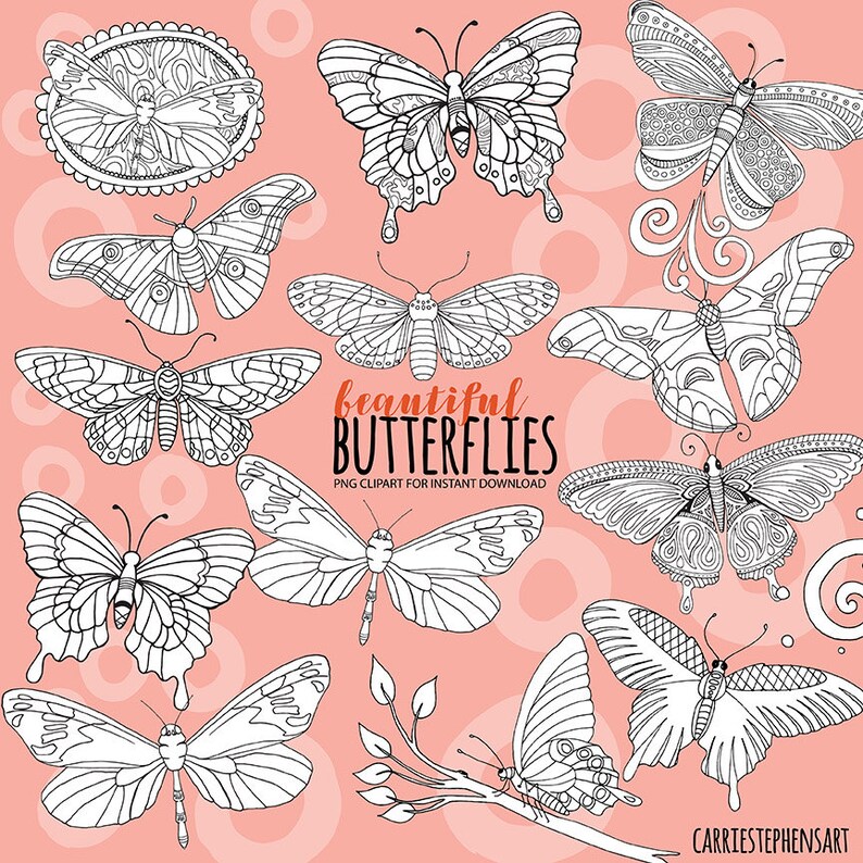 Butterfly Line Art Black and White Butterfly Doodle White Etsy