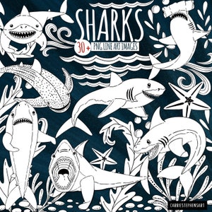 May include: A set of 30+ black and white line art images of sharks, including a hammerhead, a whale shark, and a great white shark. The images are perfect for coloring, crafts, or digital design.