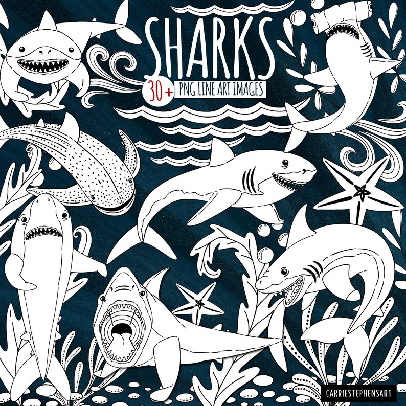 May include: A set of 30+ black and white line art images of sharks, including a hammerhead, a whale shark, and a great white shark. The images are perfect for coloring, crafts, or digital design.