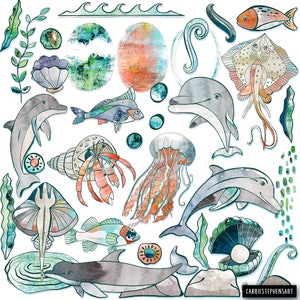 May include: Watercolor illustration of various sea creatures, including dolphins, jellyfish, a hermit crab, a stingray, and fish. The illustration is set against a white background with blue and green watercolor accents.