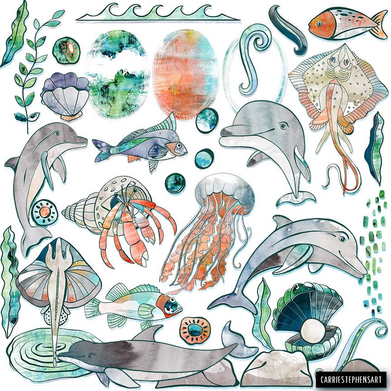 Watercolor Ocean Animal Clip Art Dolphin Watercolor Clipart Etsy Watercolor ocean animal clip art dolphin watercolor clipart