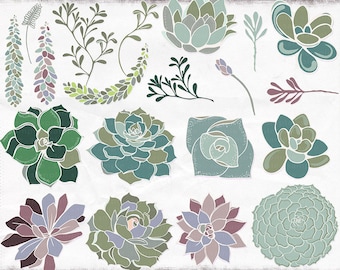 Succulent ClipArt | Cactus PNG Images Download