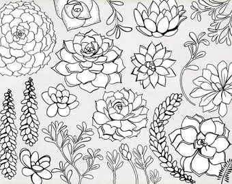 Succulent Line Art, Printable ClipArt Outline, Succulent Flower Line Drawing, Digital Stamps + Photoshop Brushes, Embroidery Art Images